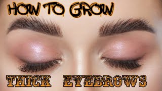 Home Remedies to Grow Thick EYEBROWS [upl. by Airdnek]