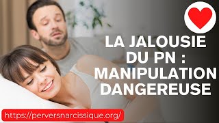 La Jalousie Cachée du Pervers Narcissique 😈  Découvrez Ses Failles 🎯 [upl. by Eentroc]