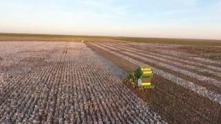 West Texas cotton picking [upl. by Hannahsohs409]