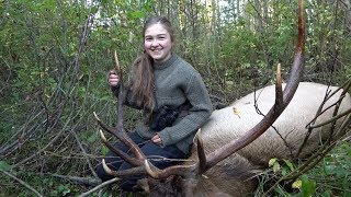 The Perfect Elk Hunt Packed Out on Horses [upl. by Ileana]