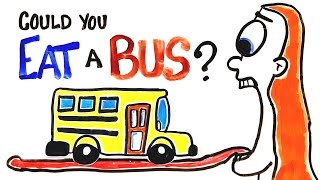 Can You Actually Eat A Bus [upl. by Allebram]