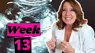 Fetal Development Week 13 Pregnancy Health Guru [upl. by Jenna]