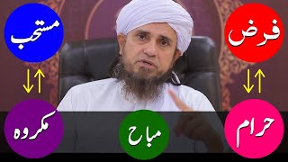 Shadi Main Agar Walidain Rukawat Dalain Mufti Tariq Masood हिंदी [upl. by Zahc]