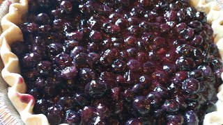 Delicious blueberry pie filling recipe [upl. by Aynnek420]