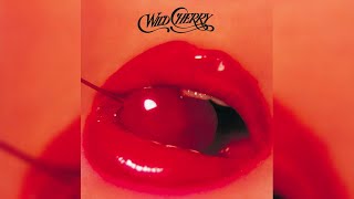 Wild Cherry  Play That Funky Music [upl. by Crawford]