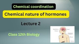 Chemical nature of hormones chemical coordination lecture 2 [upl. by Ahtreb]