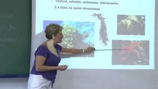 Cursos USP Oceanografia  Praias Costão Rochoso  parte 2 [upl. by Aicined]