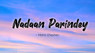 Nadaan Parindey lyrics  Rockstar  Mohit Chauhan  LYRICS🖤 [upl. by Evangelina]