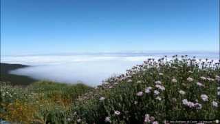 Parque Nacional de Las Cañadas del Teide  Documental [upl. by Sivat]