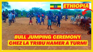 Éthiopie 🇪🇹  Visite chez la tribu Hamer à TURMI  Épisode 9 [upl. by Yerffoej]