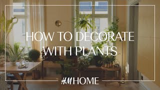 Decorate with plants 4 indoor gardening ideas [upl. by Jamey460]