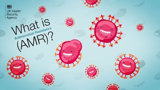 Antimicrobial resistance AMR  What does it mean and why it matters [upl. by Neenahs]