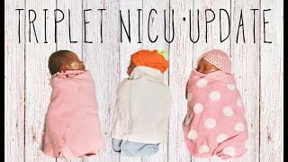 REESE ROYAL amp WREN NICU UPDATE  TRIPLET SIBLING BONDING  TOGETHER FOR FIRST TIME [upl. by Ace]