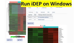 Install iDEP on a Windows laptop to analyze RNASeq data updated [upl. by Eycats]