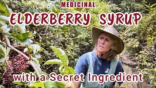 Medicinal Elderberry Syrup with a Secret Ingredient medicine elderberry youtube [upl. by Anilorac74]