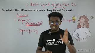 GlobeDock Biology grade 11 unit 3 what are enzyme [upl. by Ecinhoj]