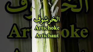 أهم الفوائد الصحية لسيقان الخرشوف وزهرته القوقArtichoke benefitsBienfaits de lartichautshorts [upl. by Surtimed]