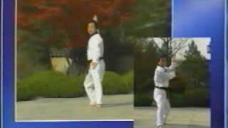 15 Taekwondo Poomsae Cheonkwon WTF [upl. by Cirri139]