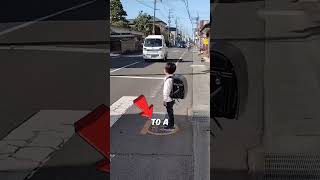 Proper crossing of the road in Japan 🚶 shorts [upl. by Neehcas]