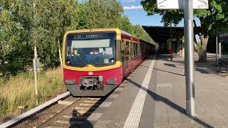 SBahn Berlin  Der Bahnhof Wilhelmsruh [upl. by Pfosi]