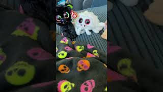 New beanie boo review [upl. by Reffinnej963]