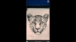 Leopard Face Sketch Pencil Sketch Step by step [upl. by Shaina]