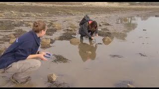 Best Walks With View With Julia Bradbury S01E01 [upl. by Aidne]