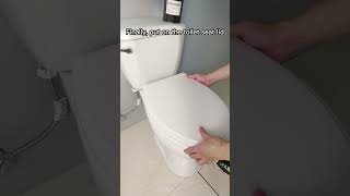 How to Replace Toilet Seat Lid  DIY Installation Tutorial Bathroom Remodel Softclose Commode [upl. by Esorylime543]