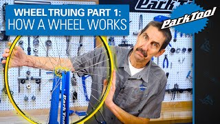 How to True a Wheel Part 1 How a Wheel Works [upl. by Bega]