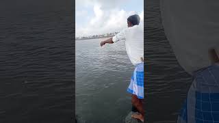 Catching the Most Expensive Barramundi Fish on the Long Bridge fishing fishingvideos seafishing [upl. by Nirek]