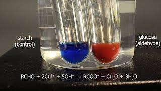 Fehlings solution test for aldehydes using glucose for positive result and starch for control [upl. by Drucy7]