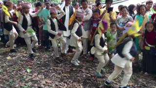 Kids of Letang Performing Sakela Sili Naach at Dharan 2073 [upl. by Nurat]