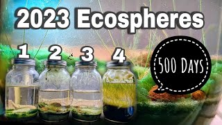 1 Year Ecosphere Update Incremental Improvement [upl. by Proulx503]