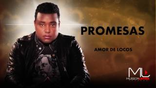 Promesas Bachata  Luis Miguel del Amargue [upl. by Adin]