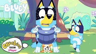 Bluey  Dads Having a Baby  CBeebies [upl. by Drucy]