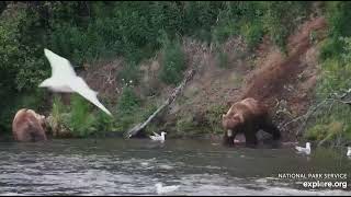 20240706 089 and 856 dine on the far bank exploreorg [upl. by Trofmoc]