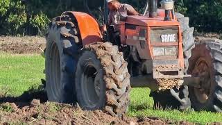 Tractor Agricola arando y preparando la tierra esto es un barbecho con arado de 4discos JOHN DEERE [upl. by Cherri]