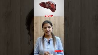 Understanding Liver Functions Bile Secretion Emulsification of Fats and More [upl. by Yelwah]