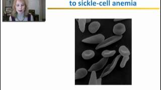 Protein Structure and Function  Part 2 [upl. by Phip]