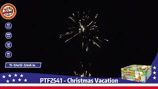 PTF2541  Christmas Vacation [upl. by Harilda322]