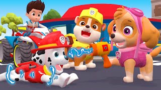 OMG SKYE Please Dont Hurt MARSHALL  Very Sad Story But Happy Ending  Paw Patrol 3D Animation [upl. by Schaffel]