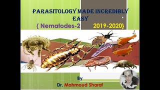 Ancylostoma duodenale and Strongyloides stercoralis Nematodes 2 2019  2020 [upl. by Airehc780]