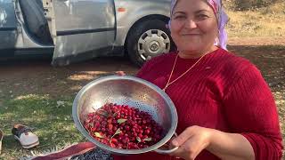 Orman meyveleri topladık semaverde çay ve kuzu kavurması [upl. by Yendor685]