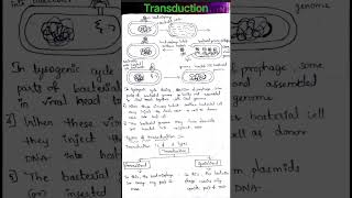 Transduction in bacteriaZinder and Lederberg [upl. by Amoihc]