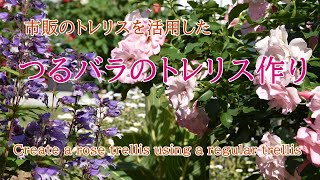 DIY･Garden｜ 市販のトレリスを活用した つるバラのトレリス作り｜Create a rose trellis using a regular trellis [upl. by Anawot573]