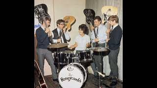 The Honeycombs  Have I the right  New Stereo Mix [upl. by Cardinal404]