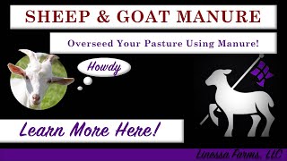 A Complete Guide to Sheep and Goat Manure Management Composting and Spreading Manure [upl. by Ocsic]