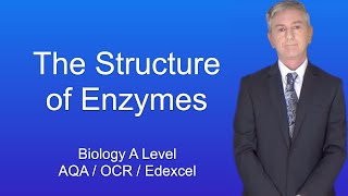 A Level Biology Revision quotThe Structure of Enzymesquot [upl. by Felt482]