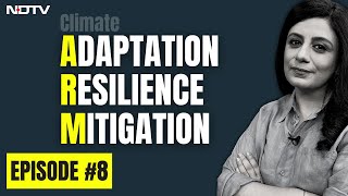 What is Climate Adaptation Mitigation amp Resilience  Climate Vocabulary  The Climate Explainers [upl. by Ardy]