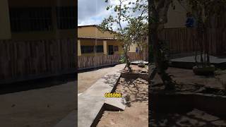 🏡 Chácara à Venda em São Sebastião Alagoas casa chácara venda sitio [upl. by Akered]